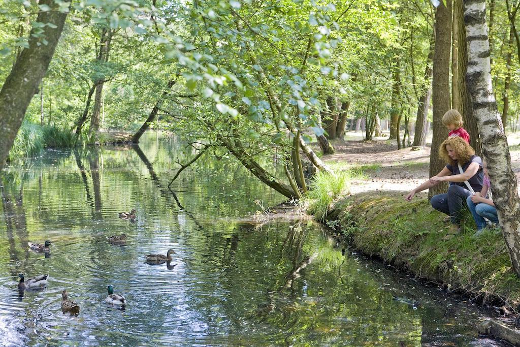 Center Parcs Meerdal Limburg-Brabant America Εξωτερικό φωτογραφία