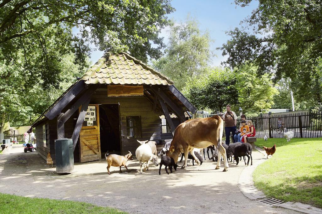 Center Parcs Meerdal Limburg-Brabant America Εξωτερικό φωτογραφία