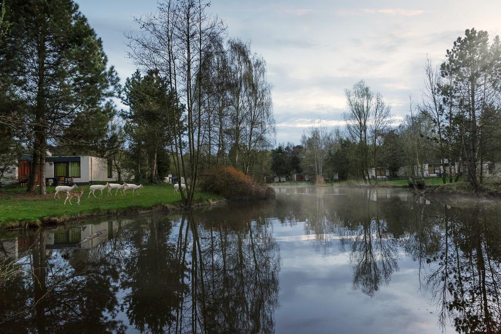 Center Parcs Meerdal Limburg-Brabant America Εξωτερικό φωτογραφία